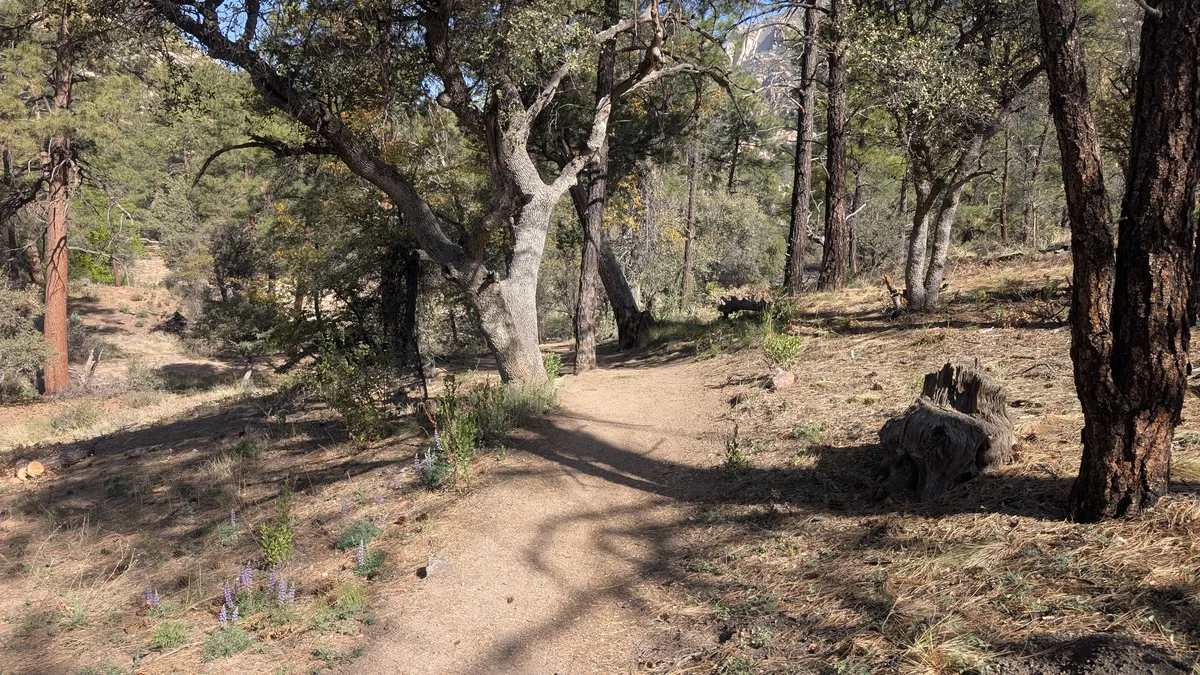 PXL_20250518_153836397