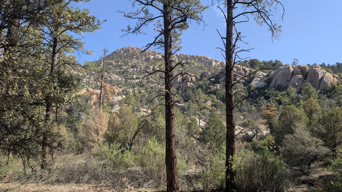 PXL_20250518_155107757