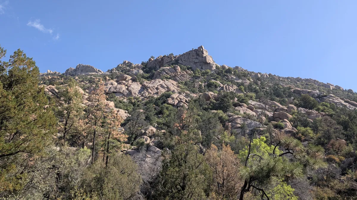 PXL_20250518_155524515