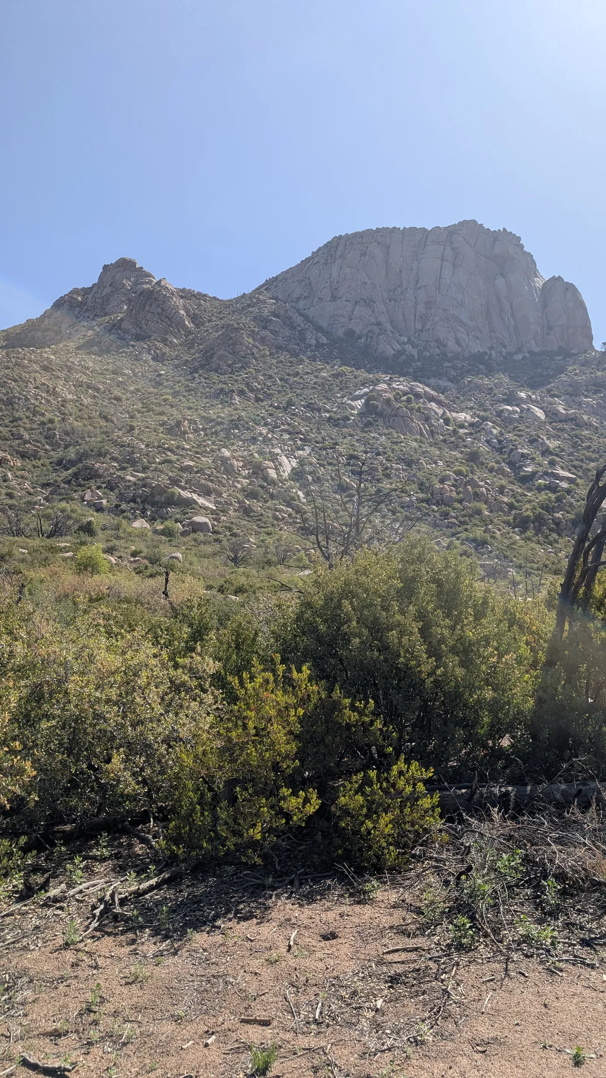 PXL_20250518_161924773