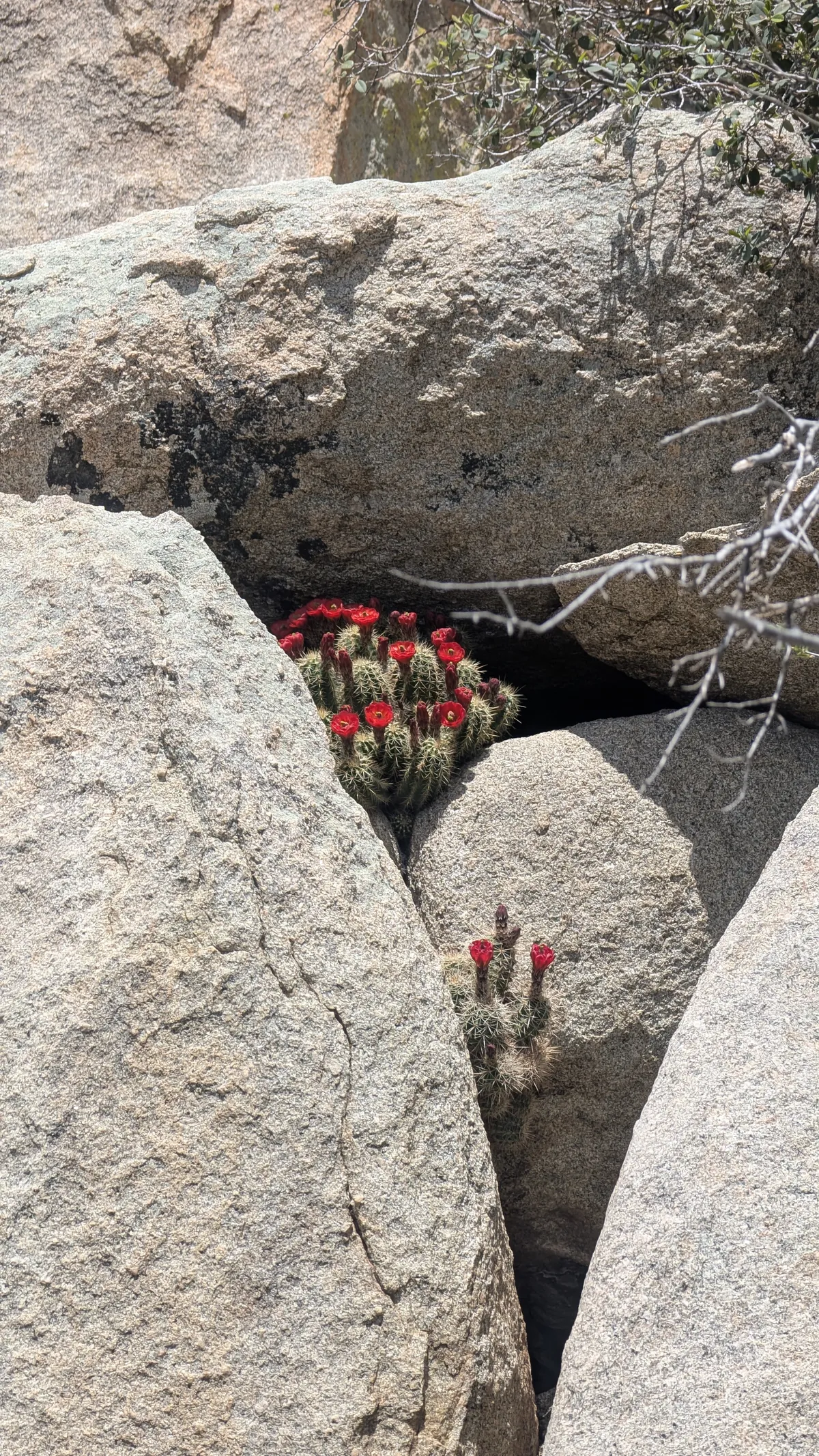 PXL_20250518_173427411