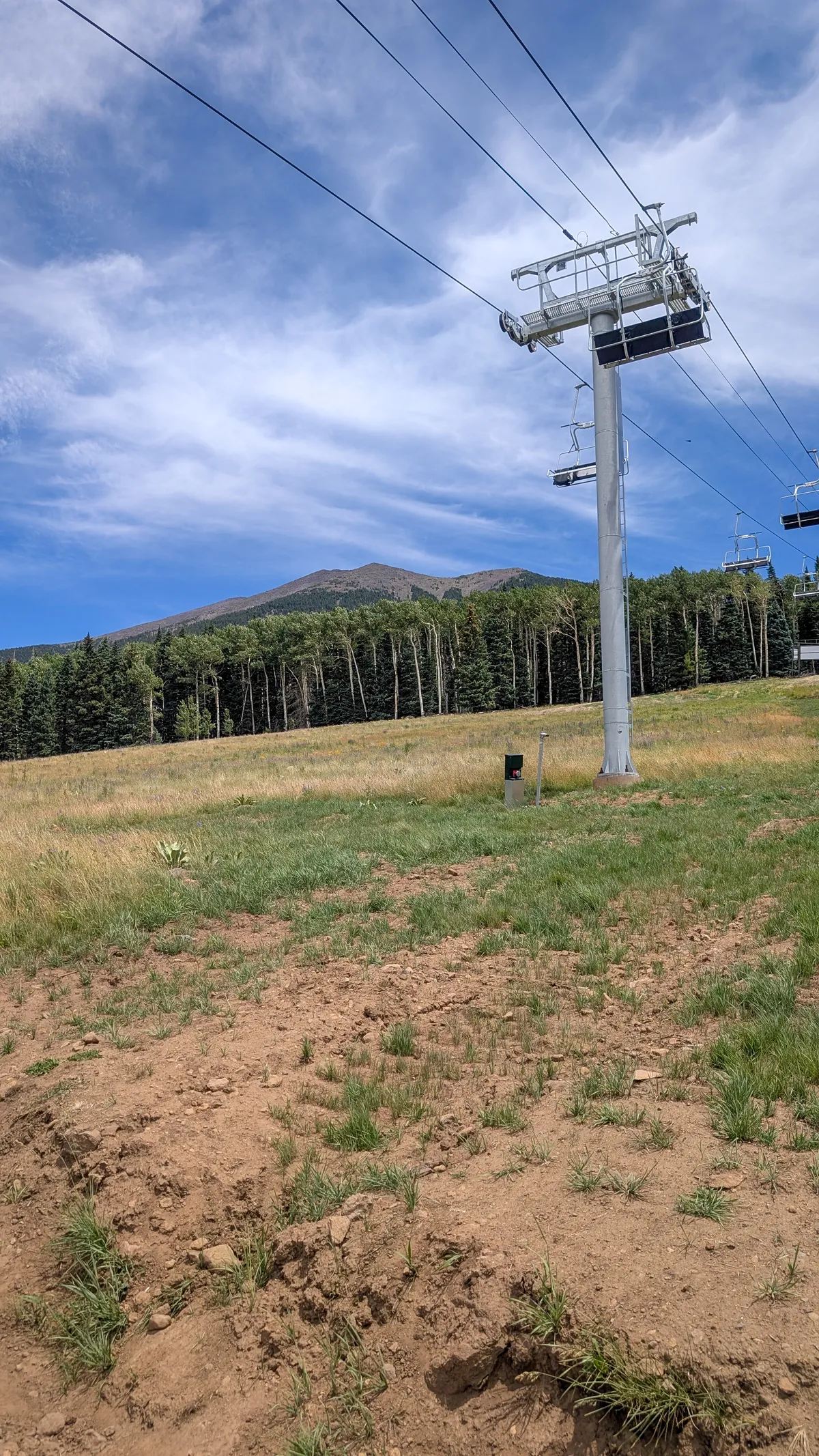 PXL_20250726_193254885