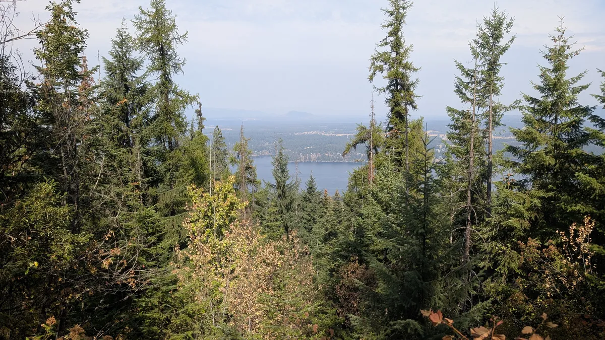 PXL_20250911_182852135