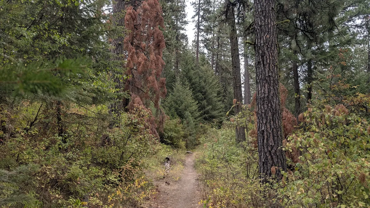 PXL_20250914_164525411