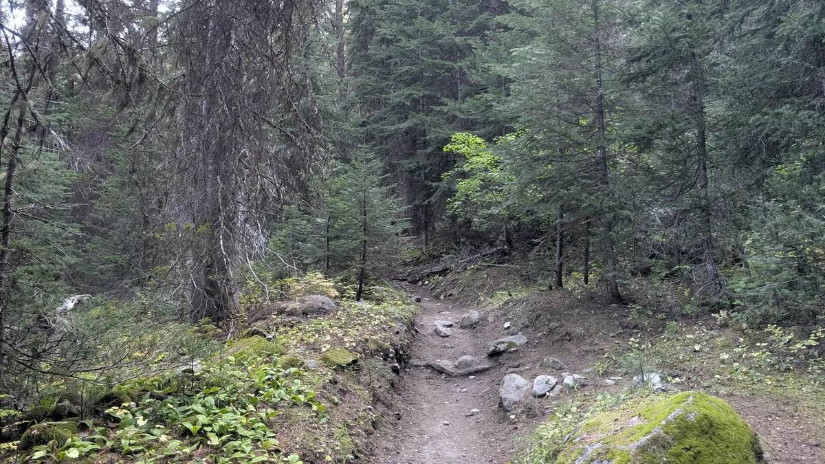 PXL_20250920_153556288