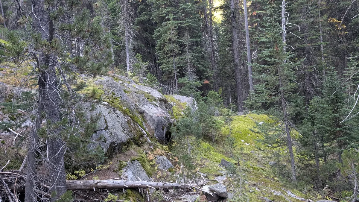 PXL_20250920_154804742