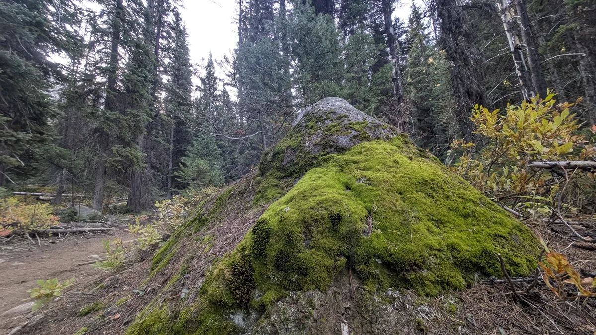 PXL_20250920_155156866