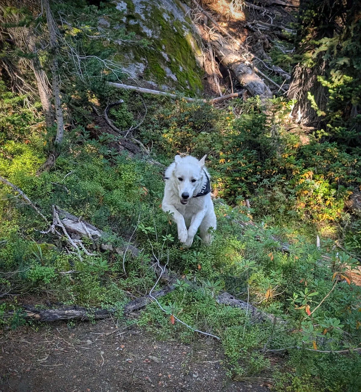 PXL_20250920_164752476