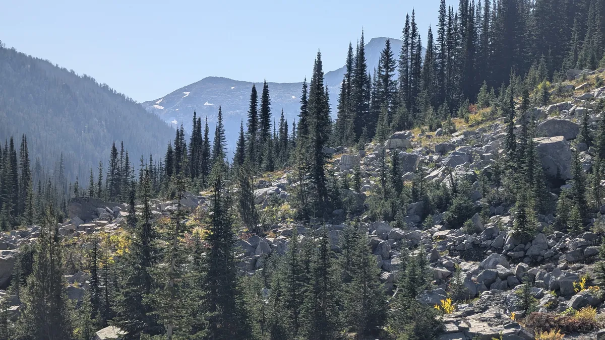 PXL_20250920_171814274
