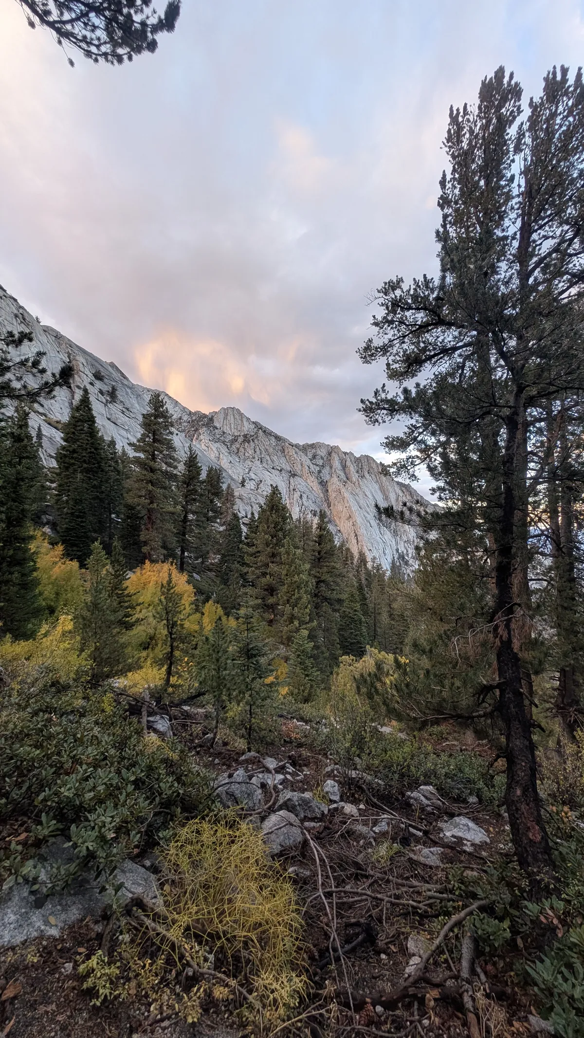 PXL_20250929_013303974