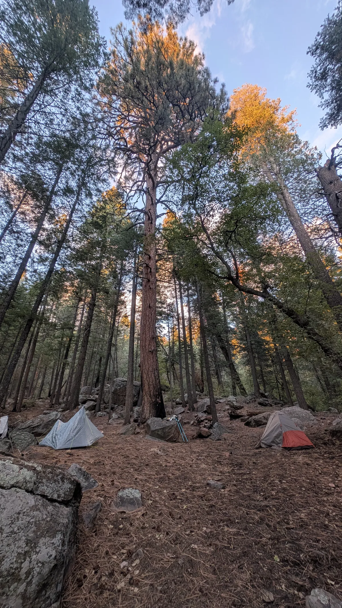 PXL_20251018_004158344
