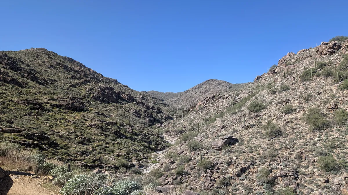 PXL_20251026_173514795