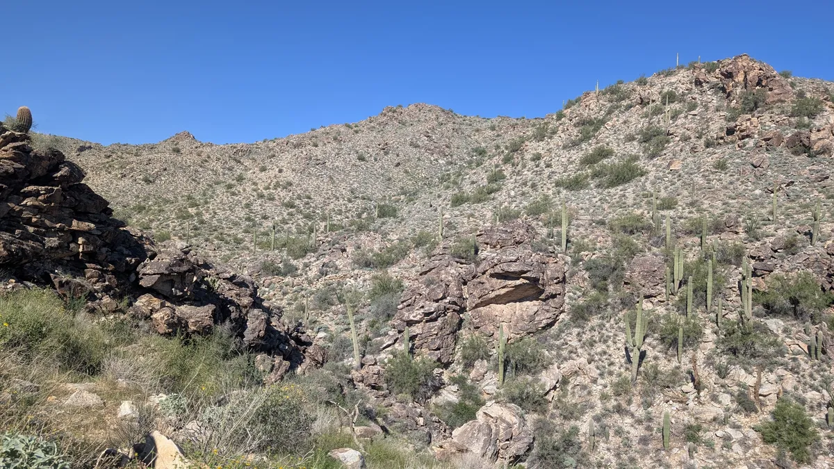 PXL_20251026_173901301