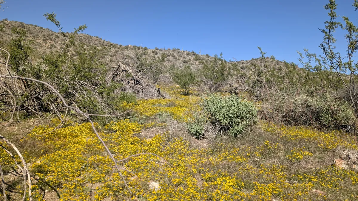 PXL_20251026_184428217