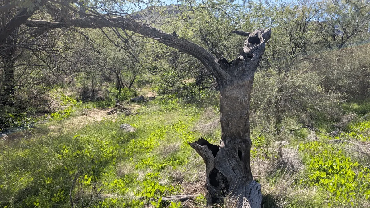 PXL_20251026_192121935