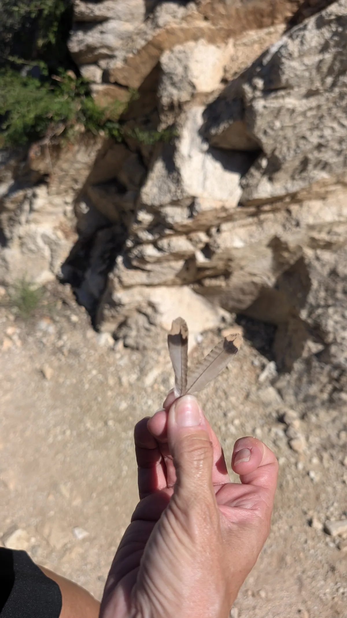 PXL_20251026_194743623