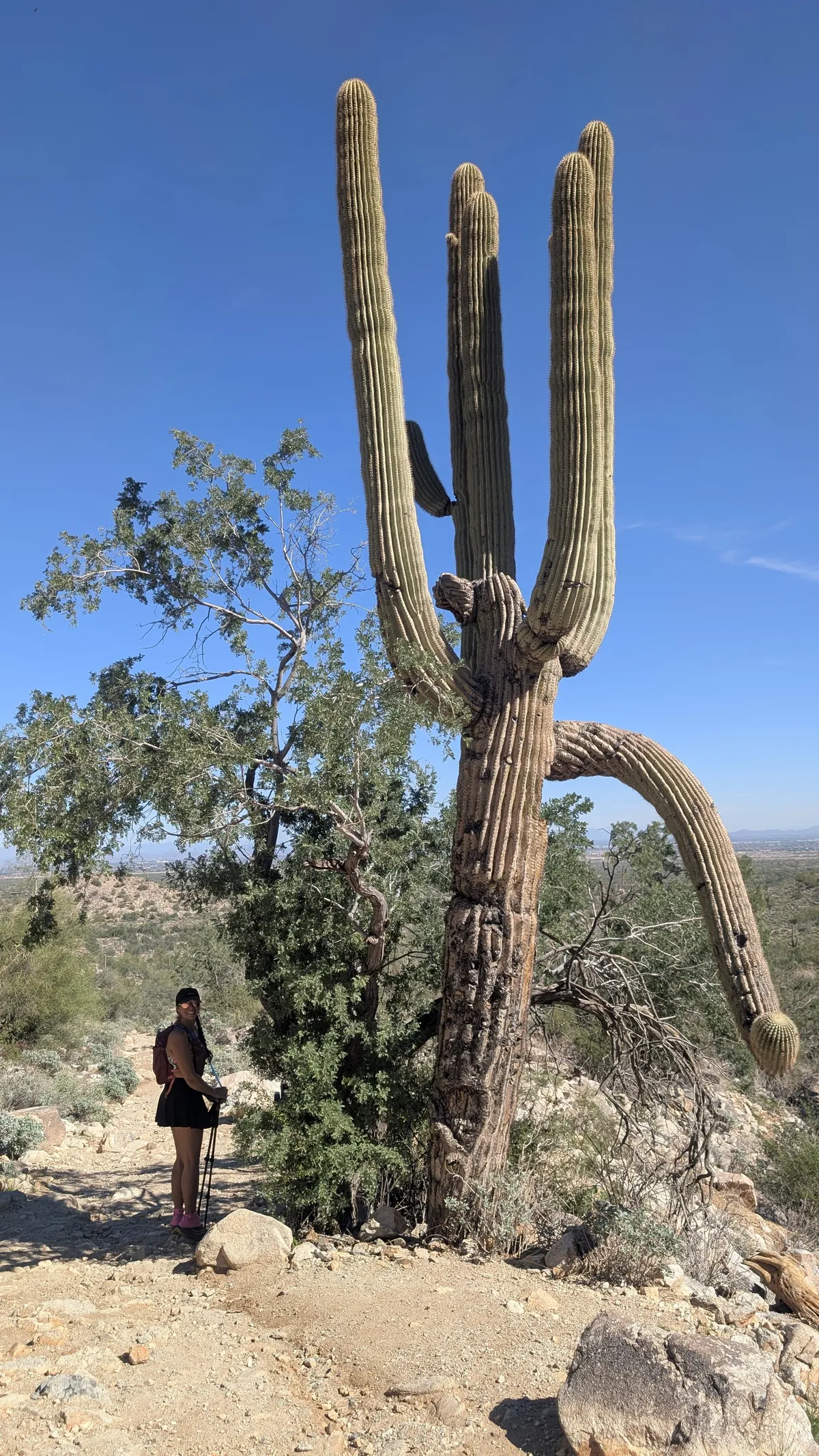 PXL_20251026_195305165~2