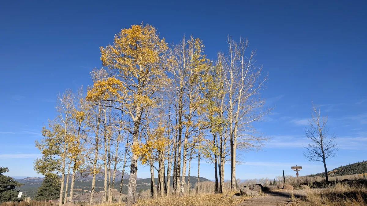 PXL_20251101_155700420