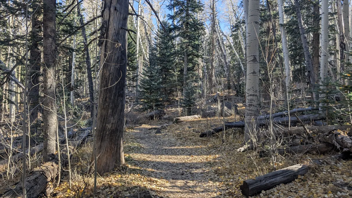 PXL_20251101_160423583