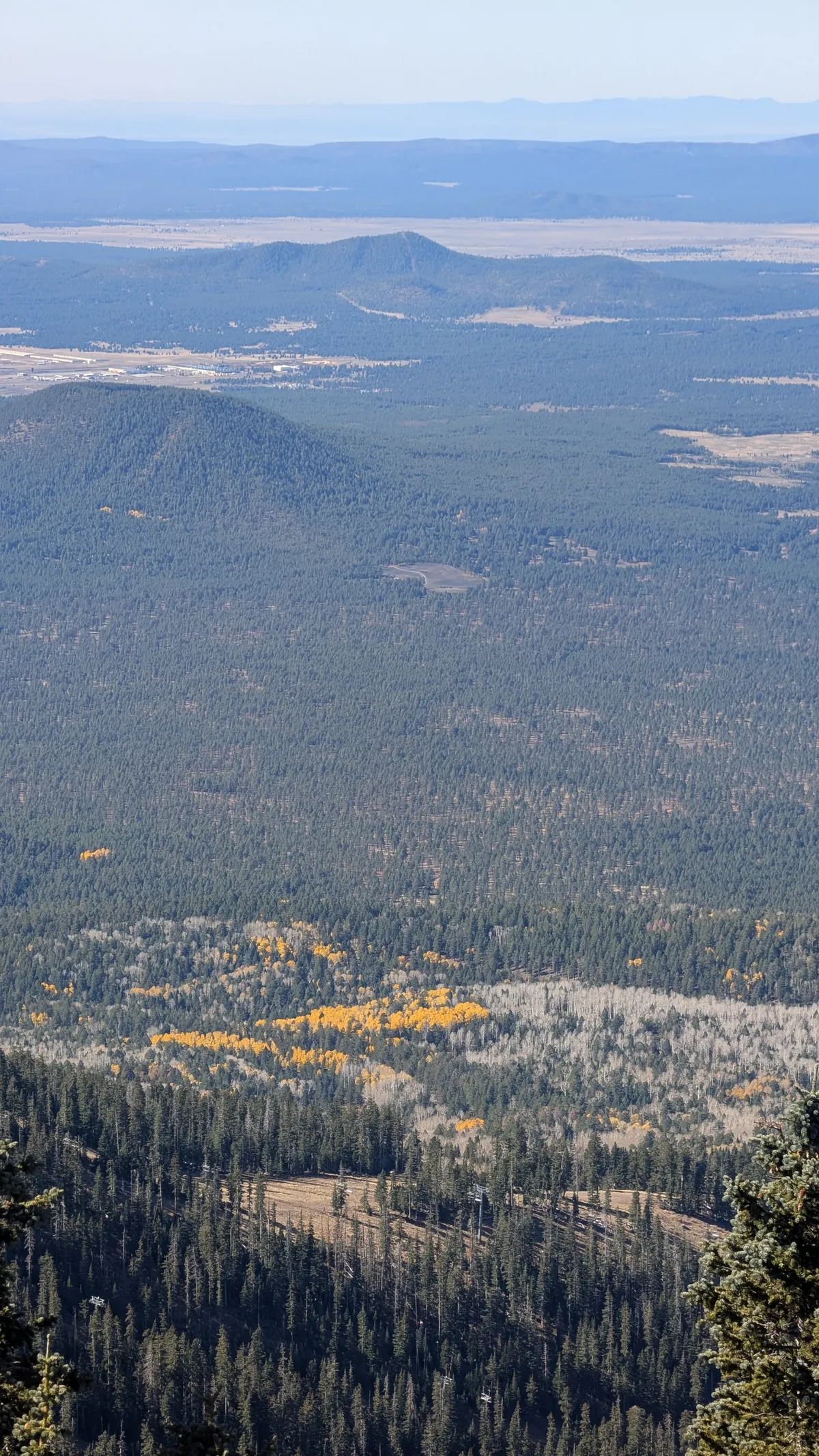 PXL_20251101_174422211