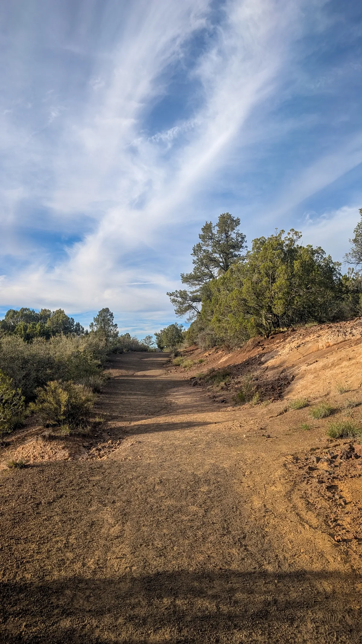 PXL_20251103_230049508