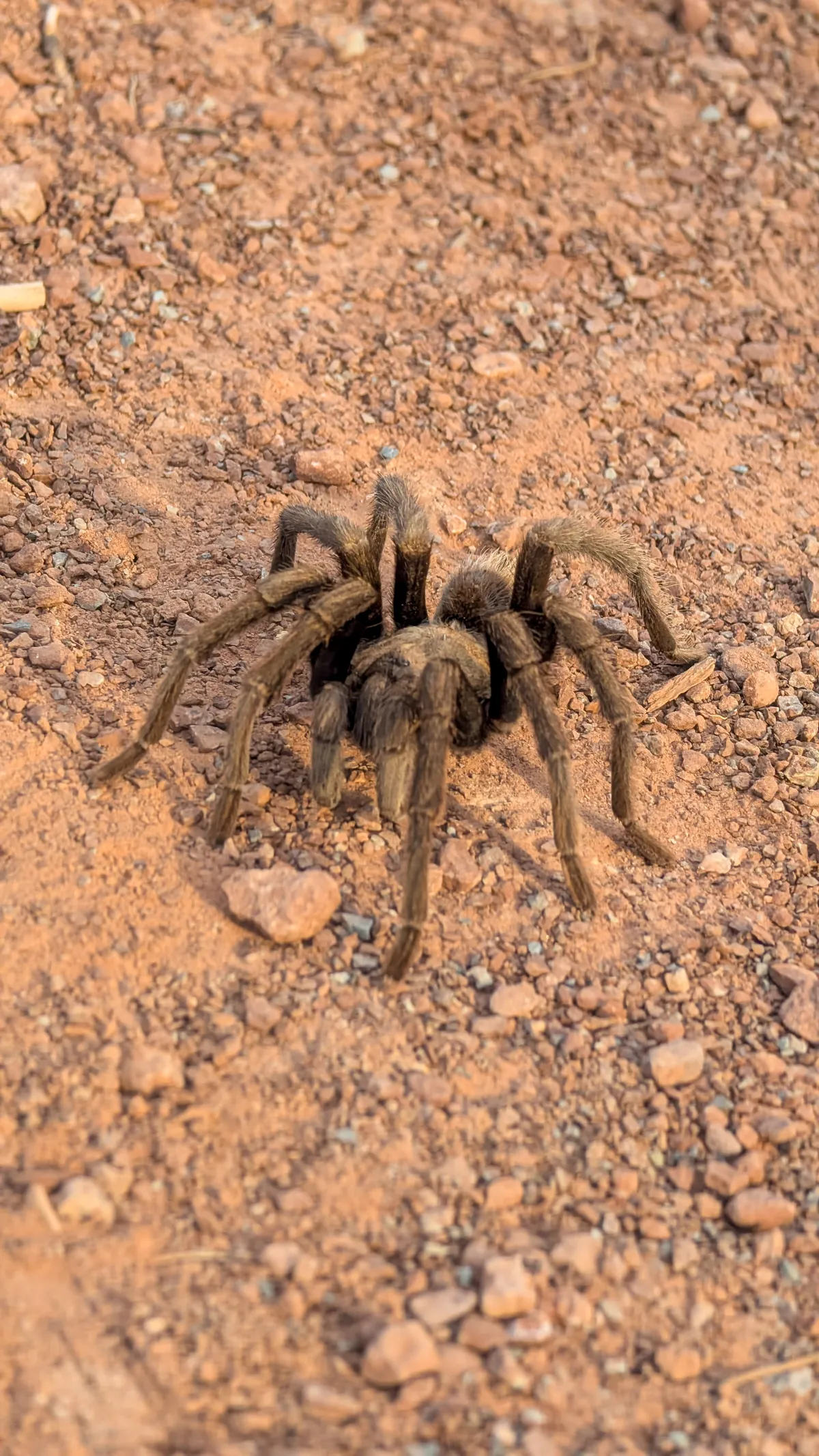 PXL_20251103_233738162