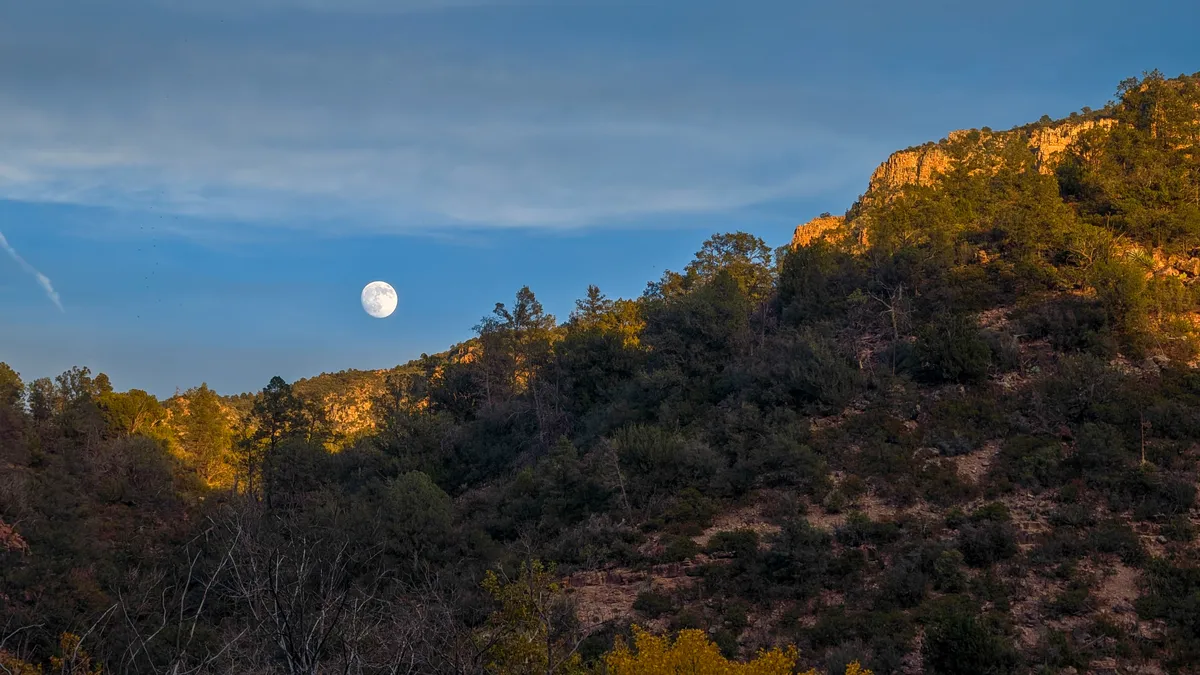 PXL_20251104_001110795