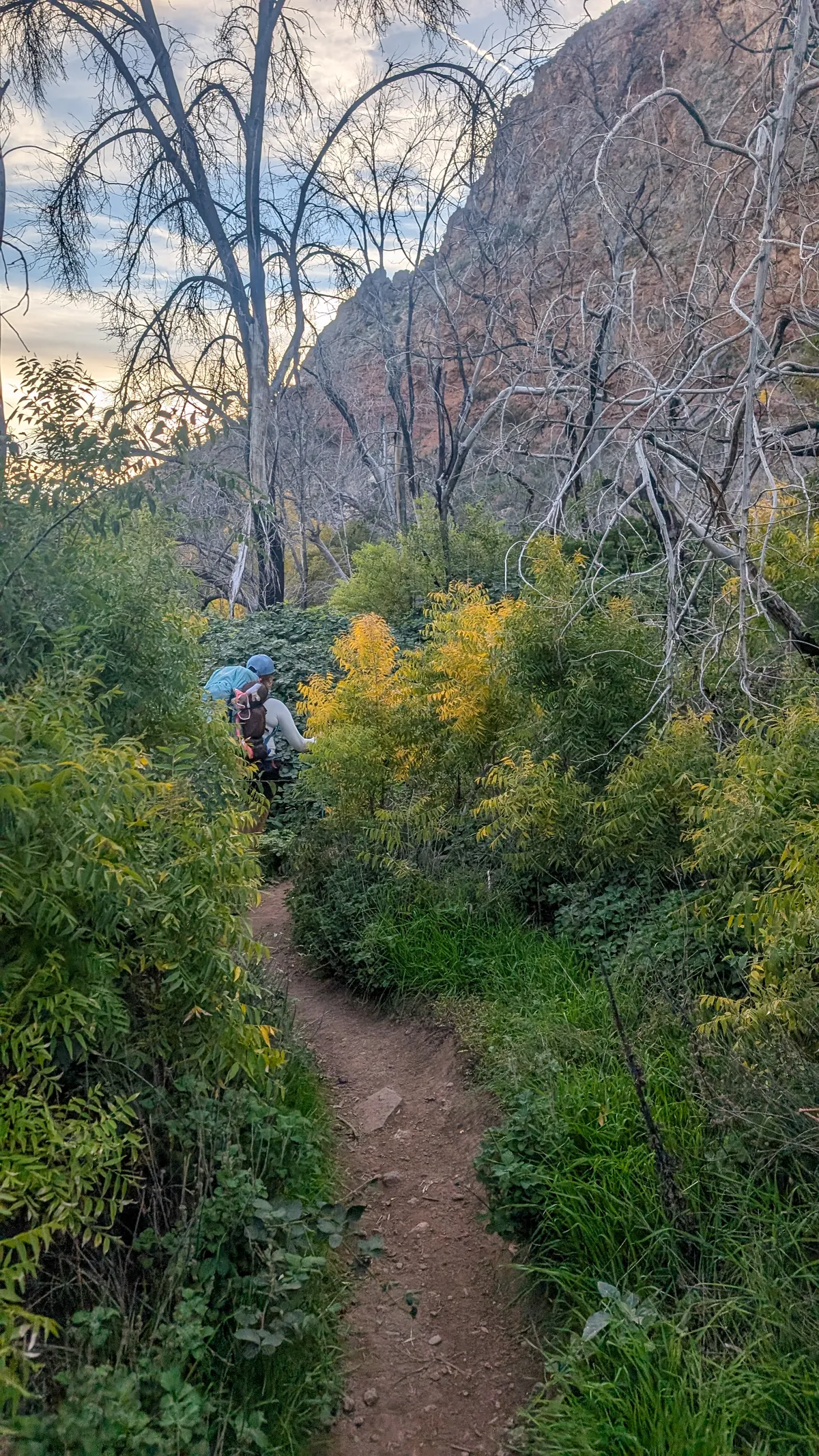 PXL_20251104_001456895