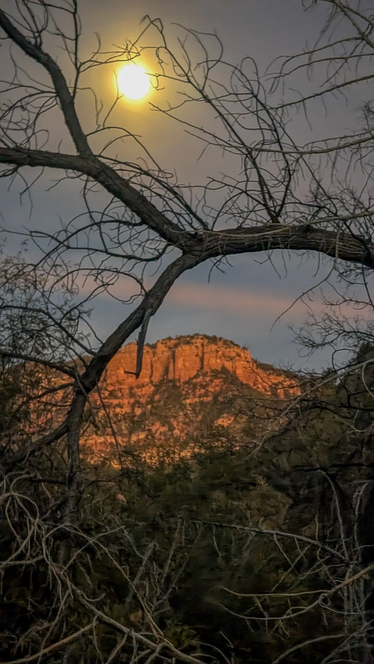 PXL_20251104_005800674