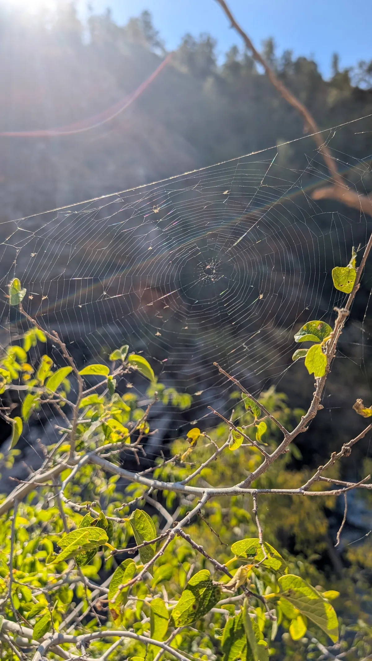 PXL_20251104_164954185