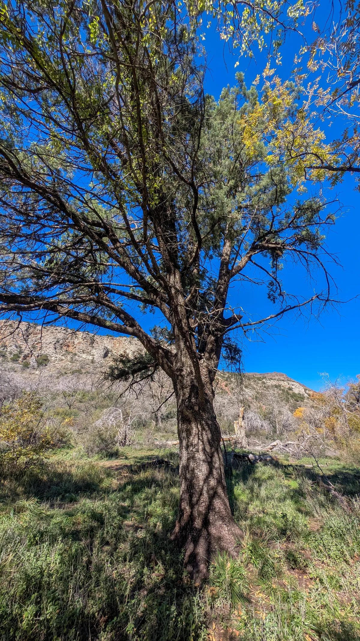 PXL_20251104_174205895