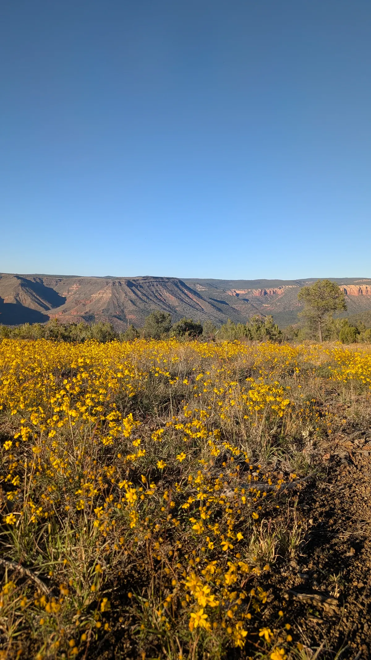 PXL_20251104_225832524