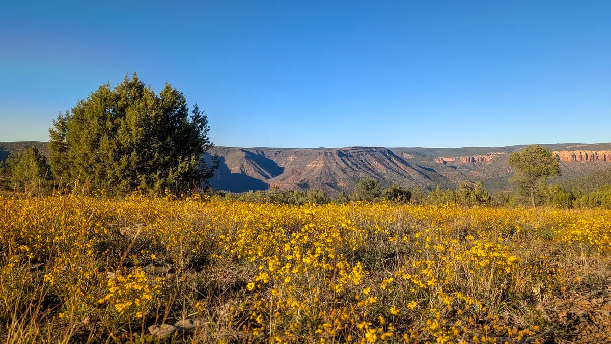 PXL_20251104_225835711