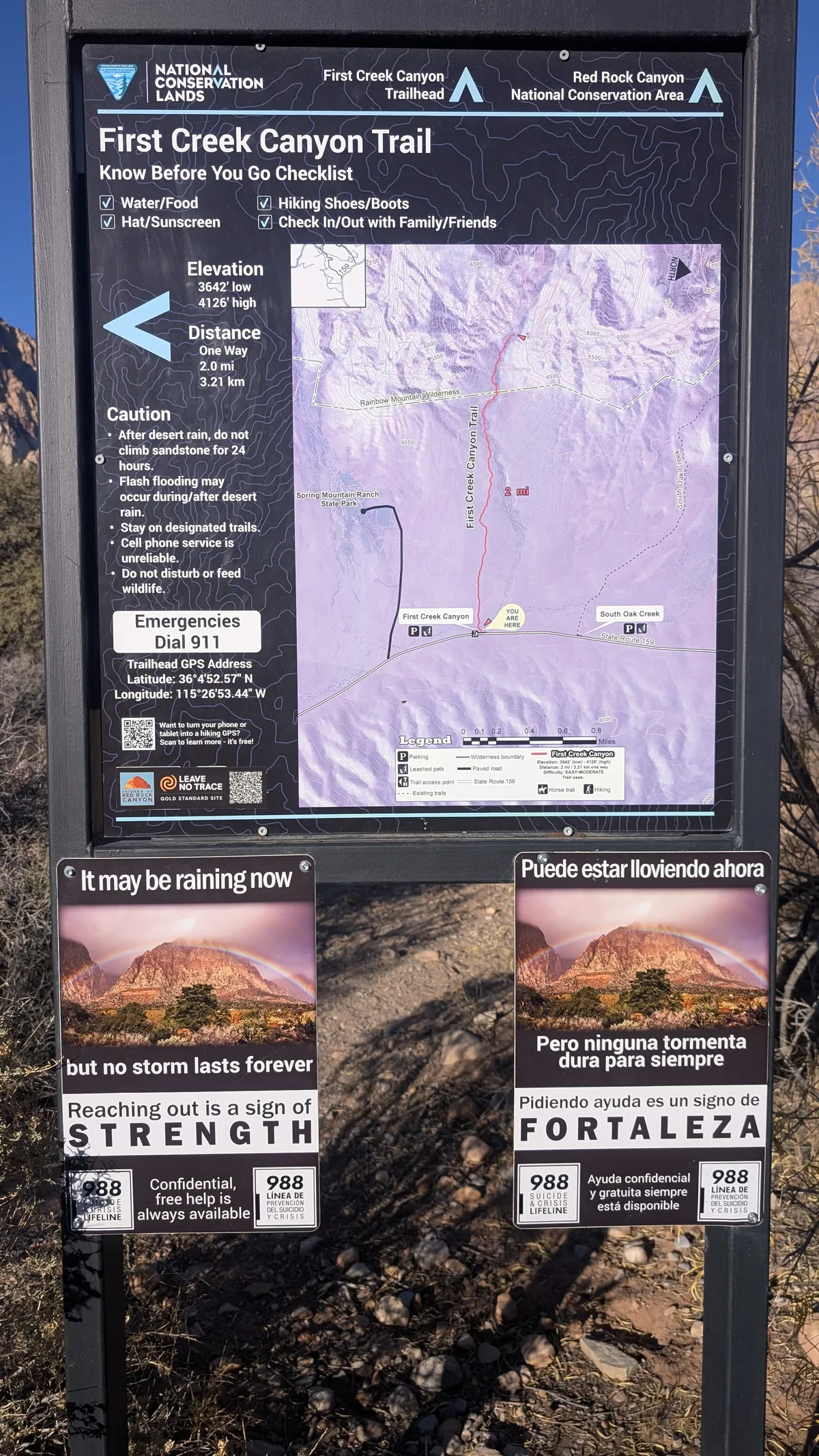 PXL_20251110_154844943