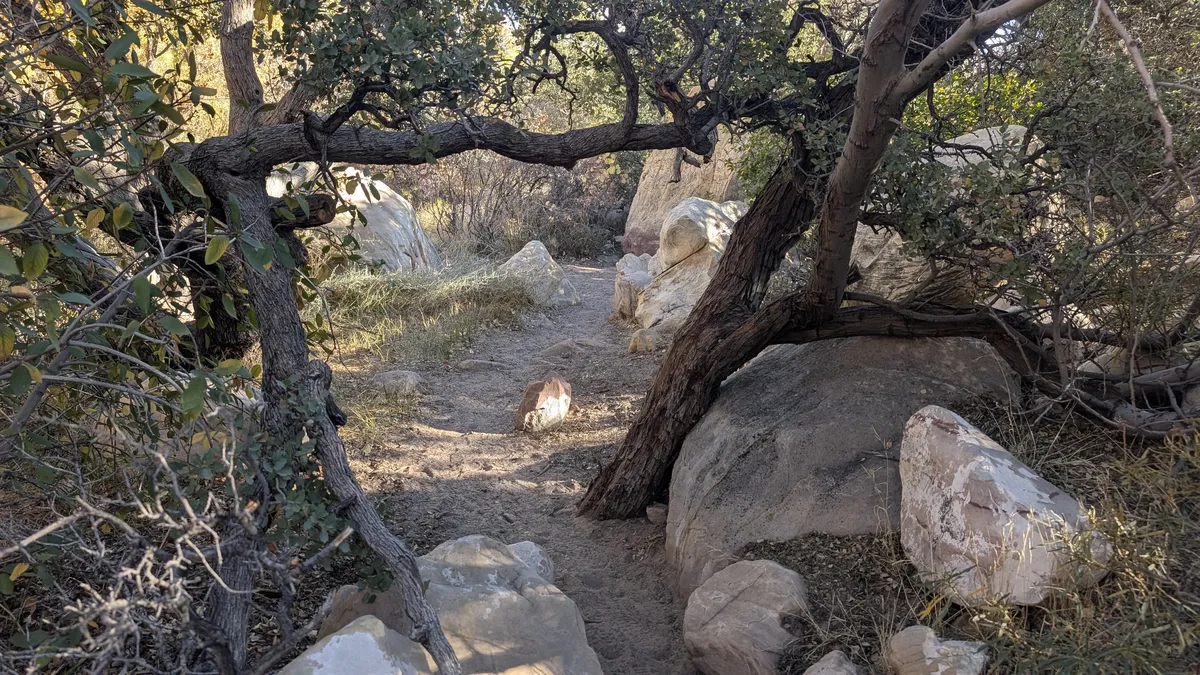 PXL_20251110_162100241