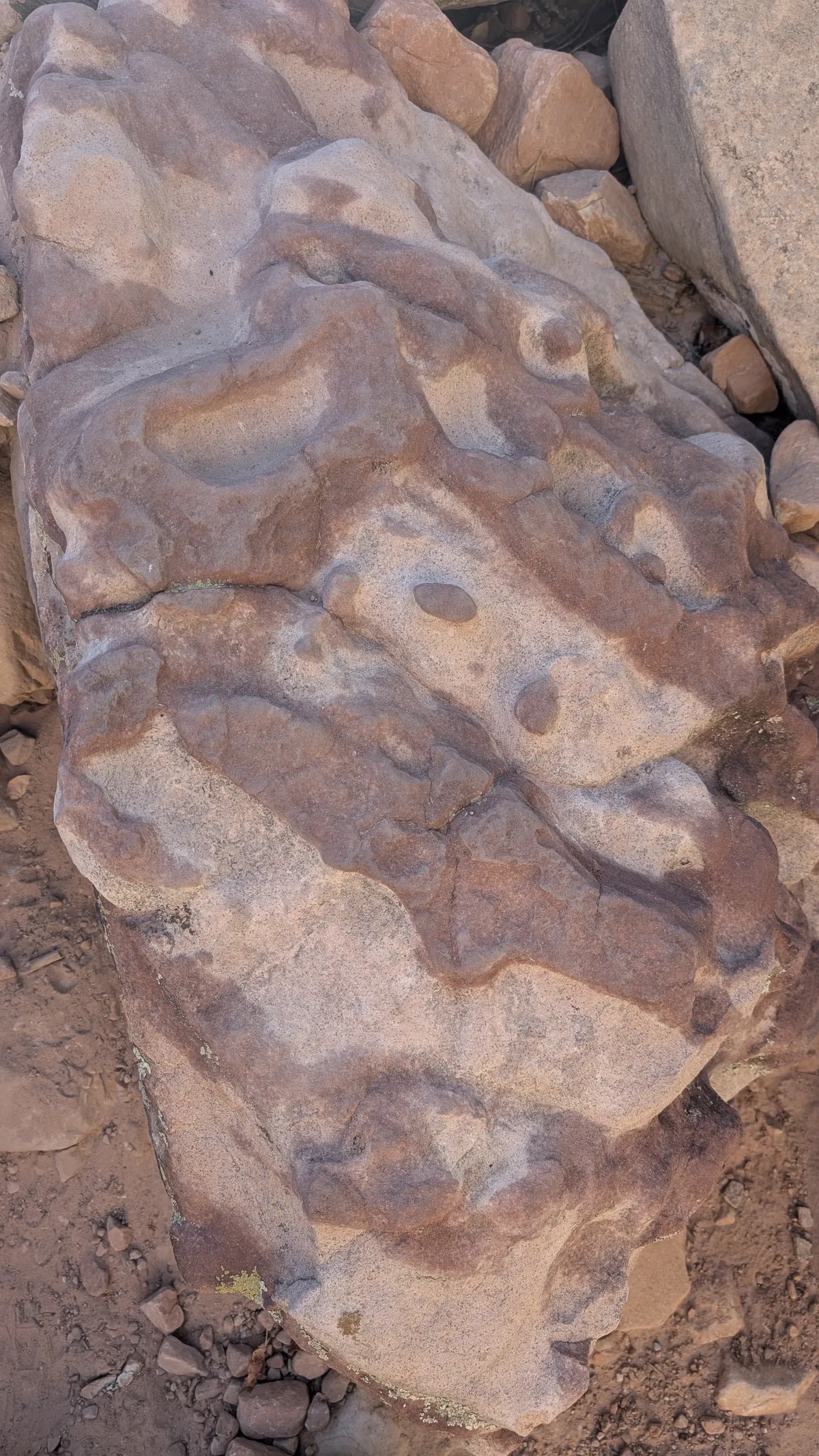 PXL_20251110_163953502