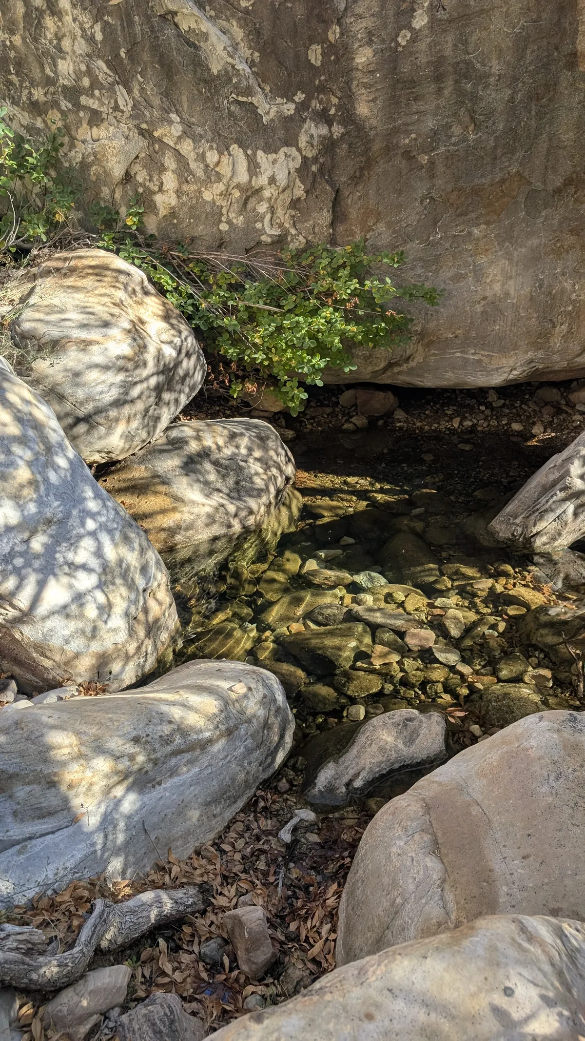 PXL_20251110_164840667