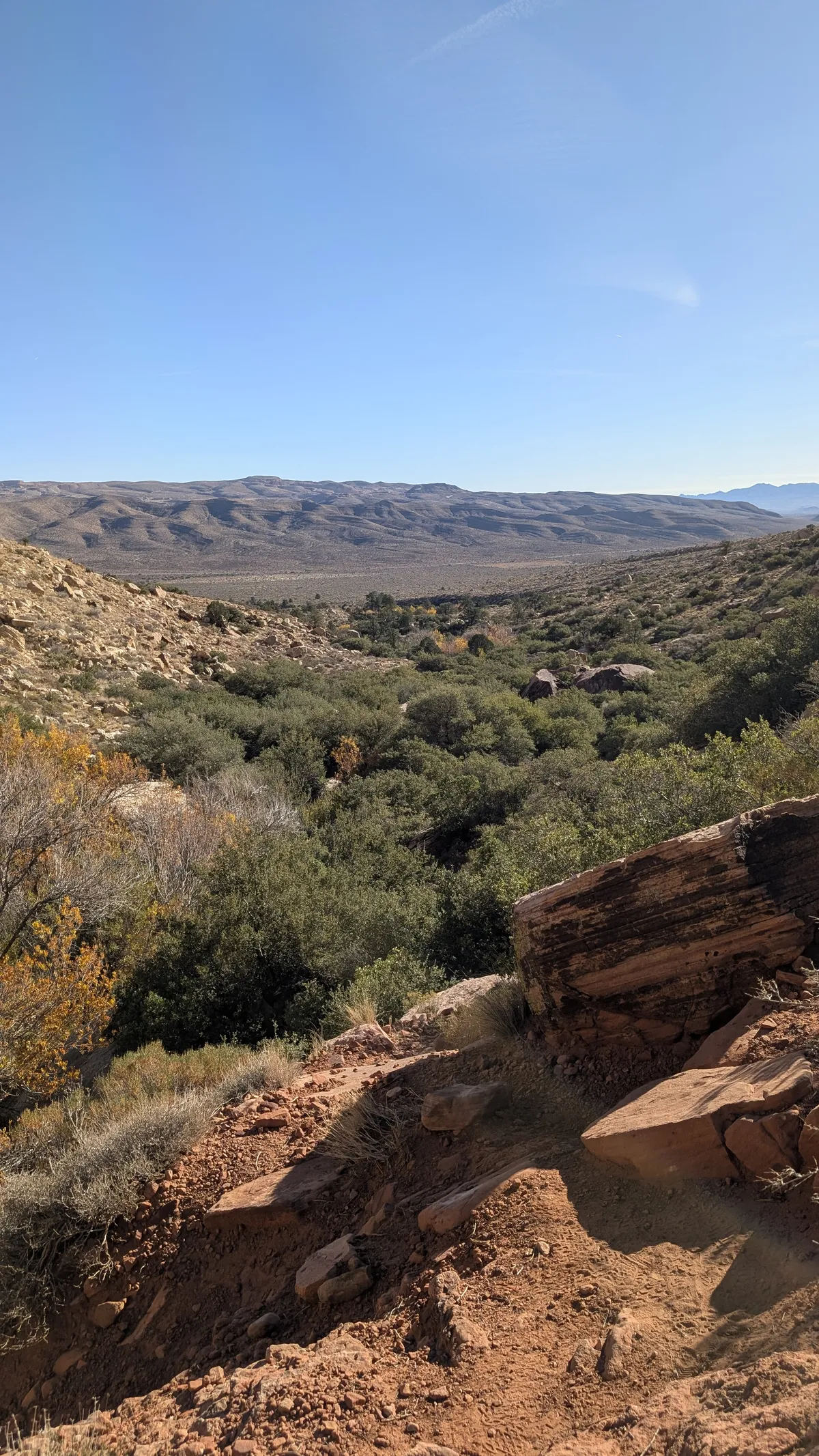 PXL_20251110_165316484