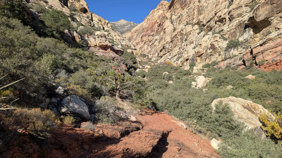 PXL_20251110_165414291