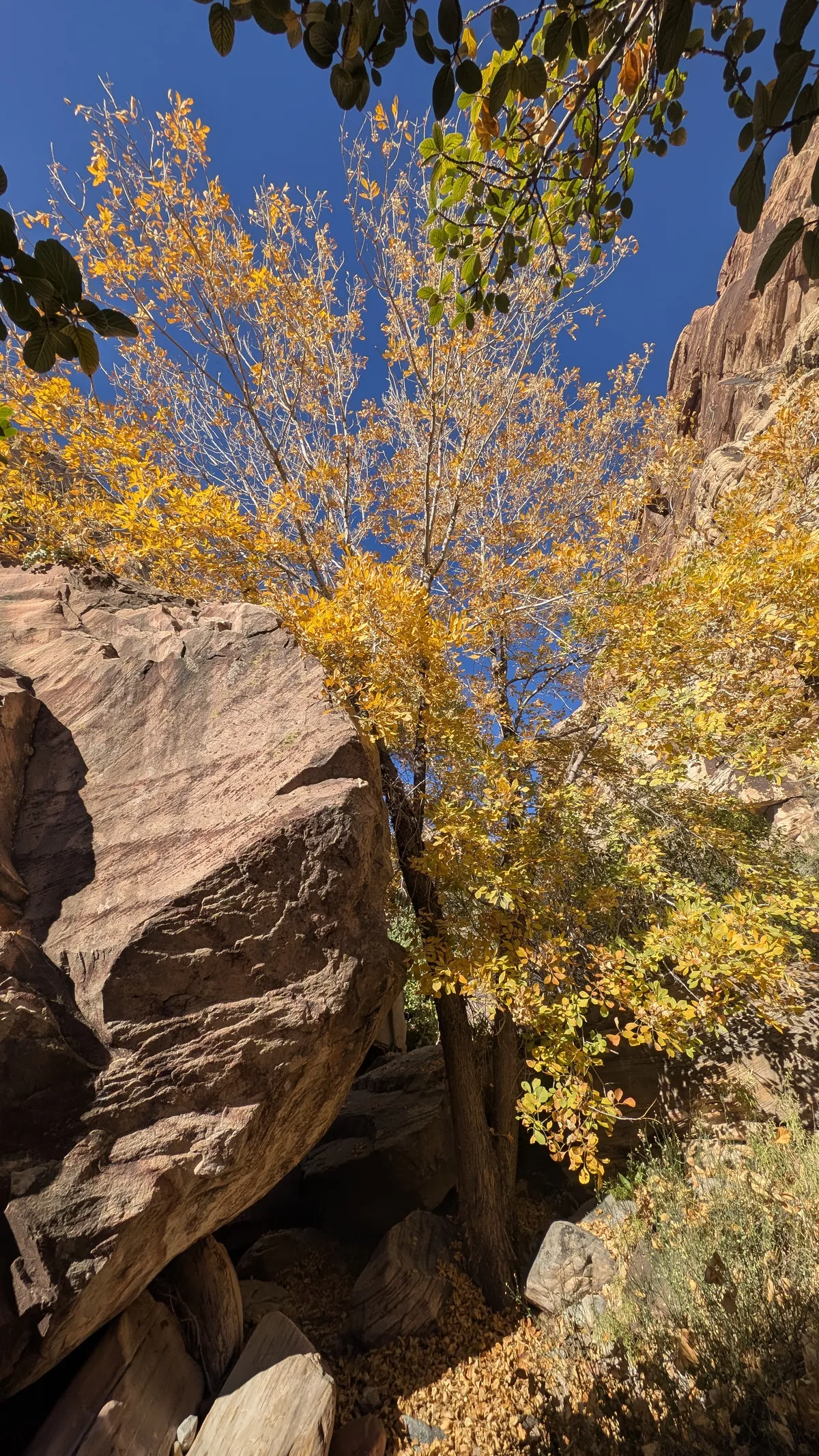 PXL_20251110_170601397