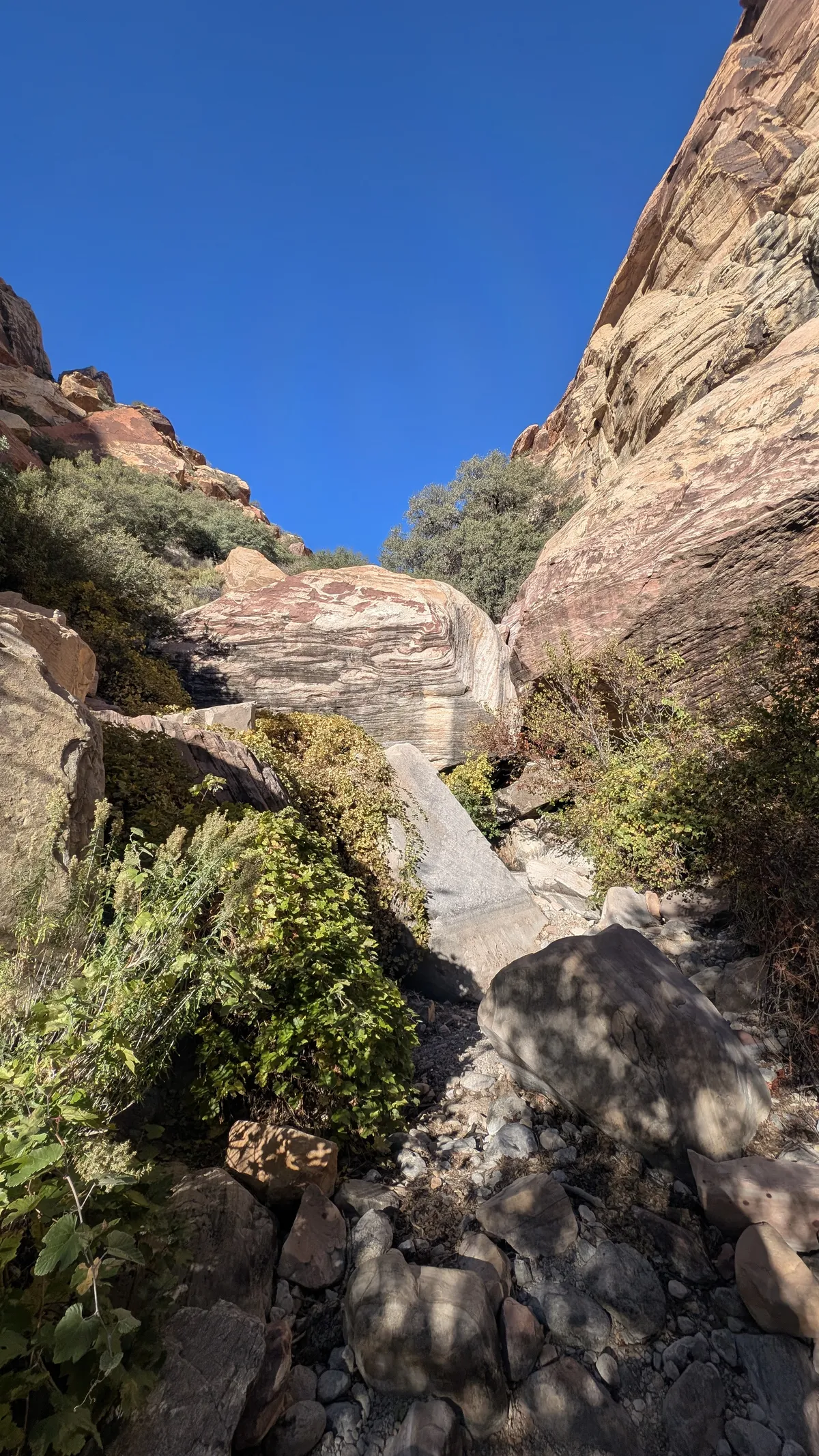 PXL_20251110_171803574