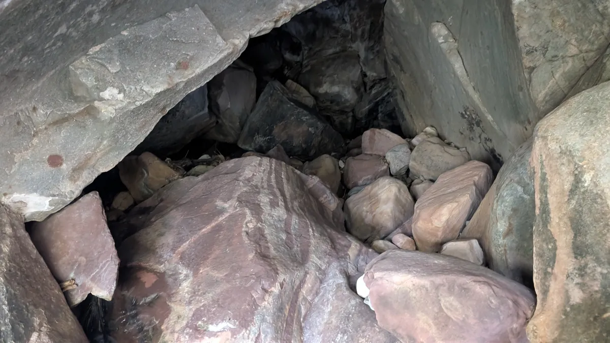 PXL_20251110_182411207