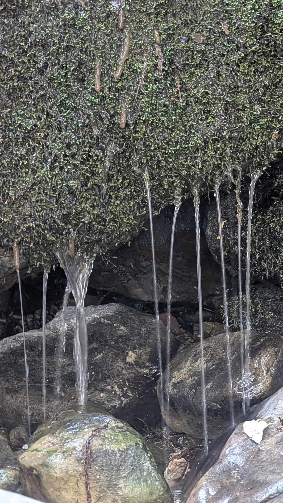 PXL_20251110_183256403