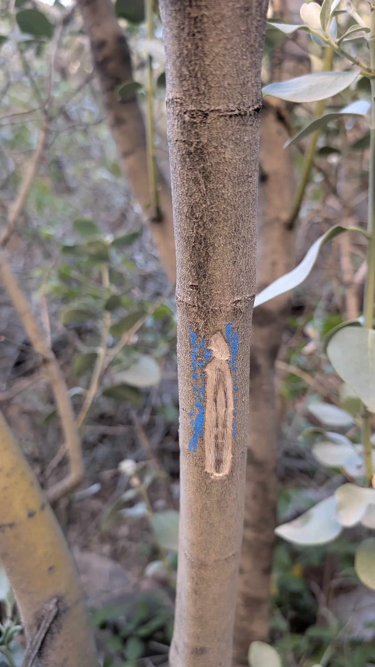 PXL_20251110_185400709