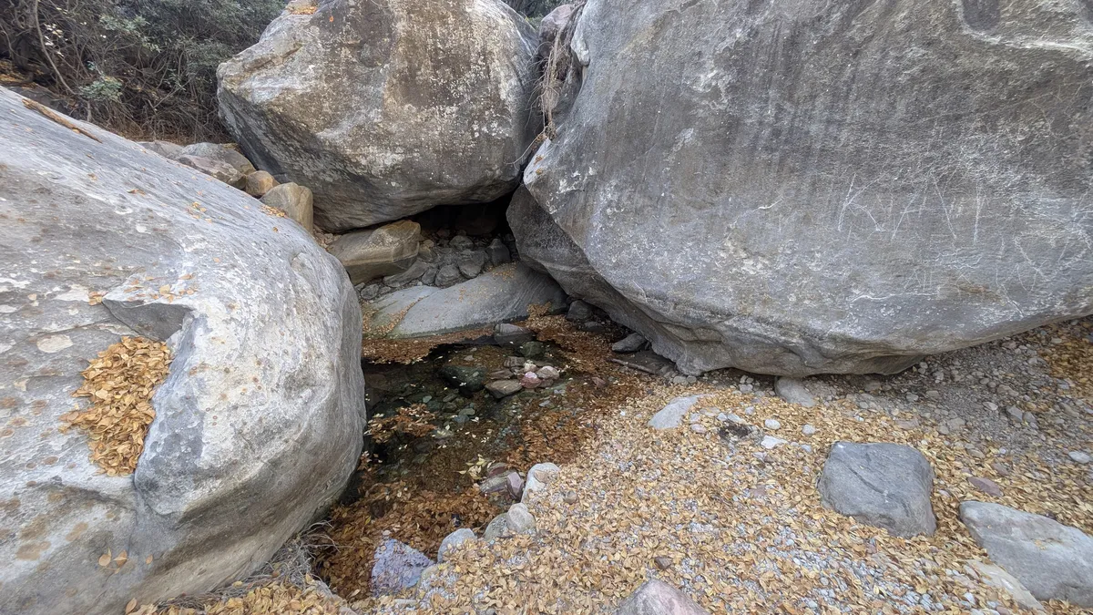 PXL_20251110_191733338