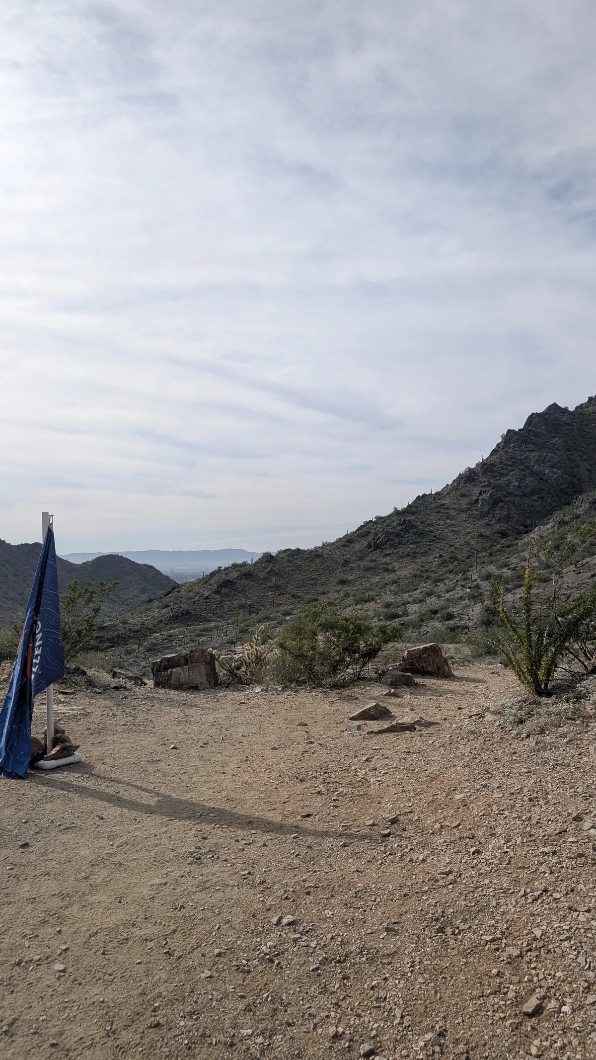 PXL_20251115_170620428