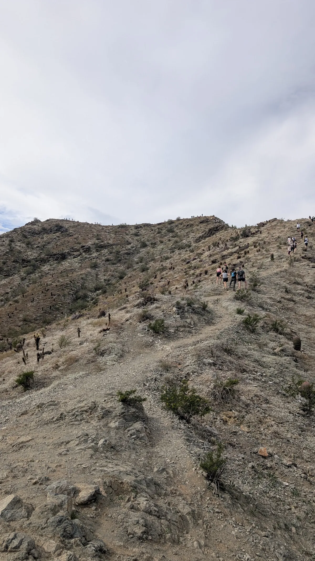 PXL_20251115_191354643