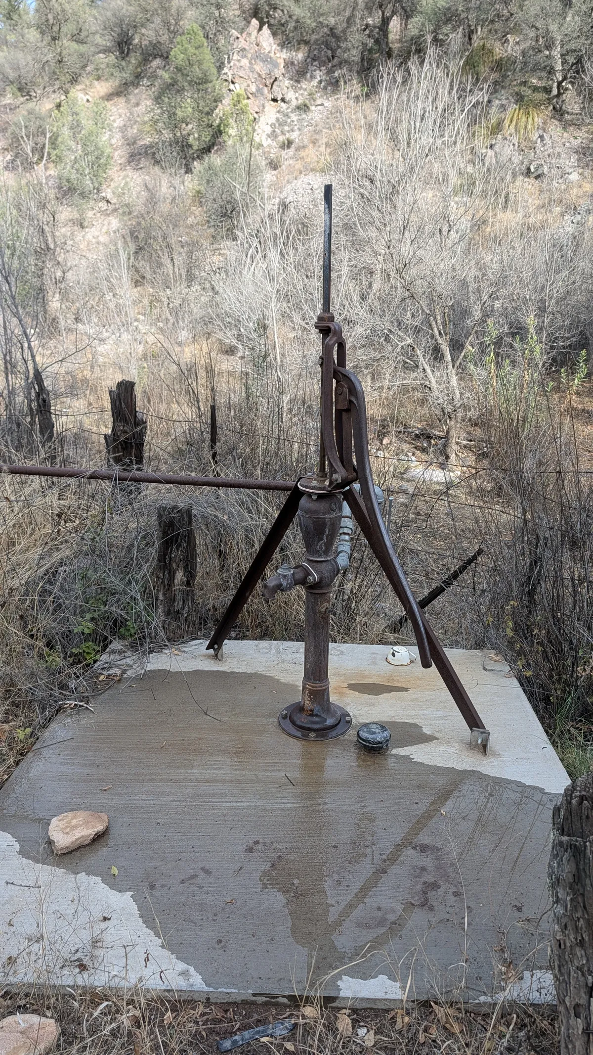 PXL_20251127_214634281