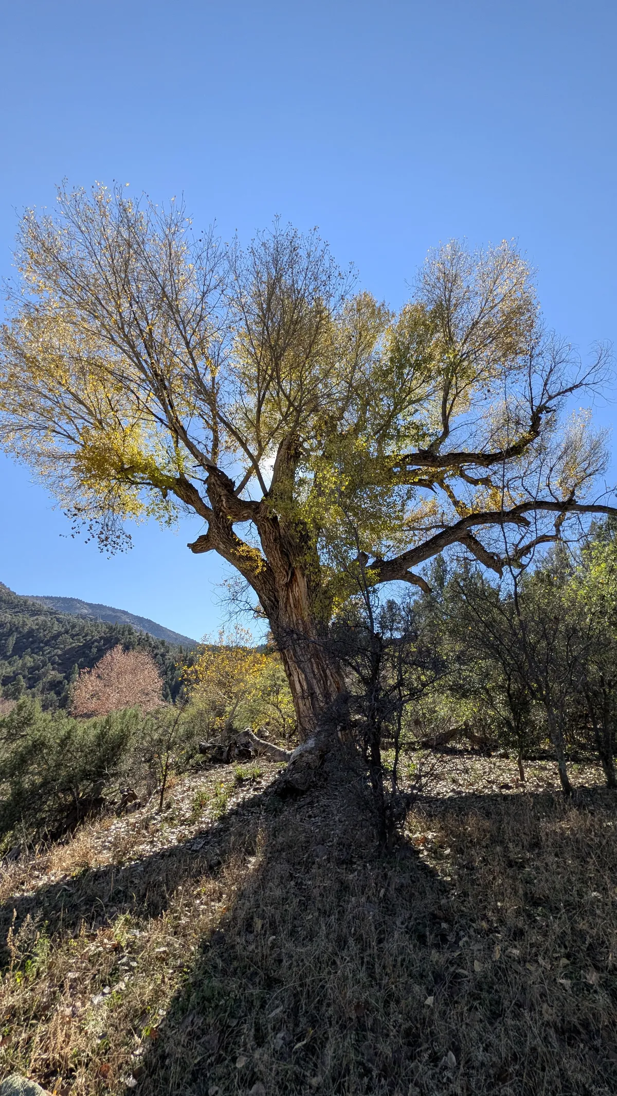 PXL_20251128_183504230