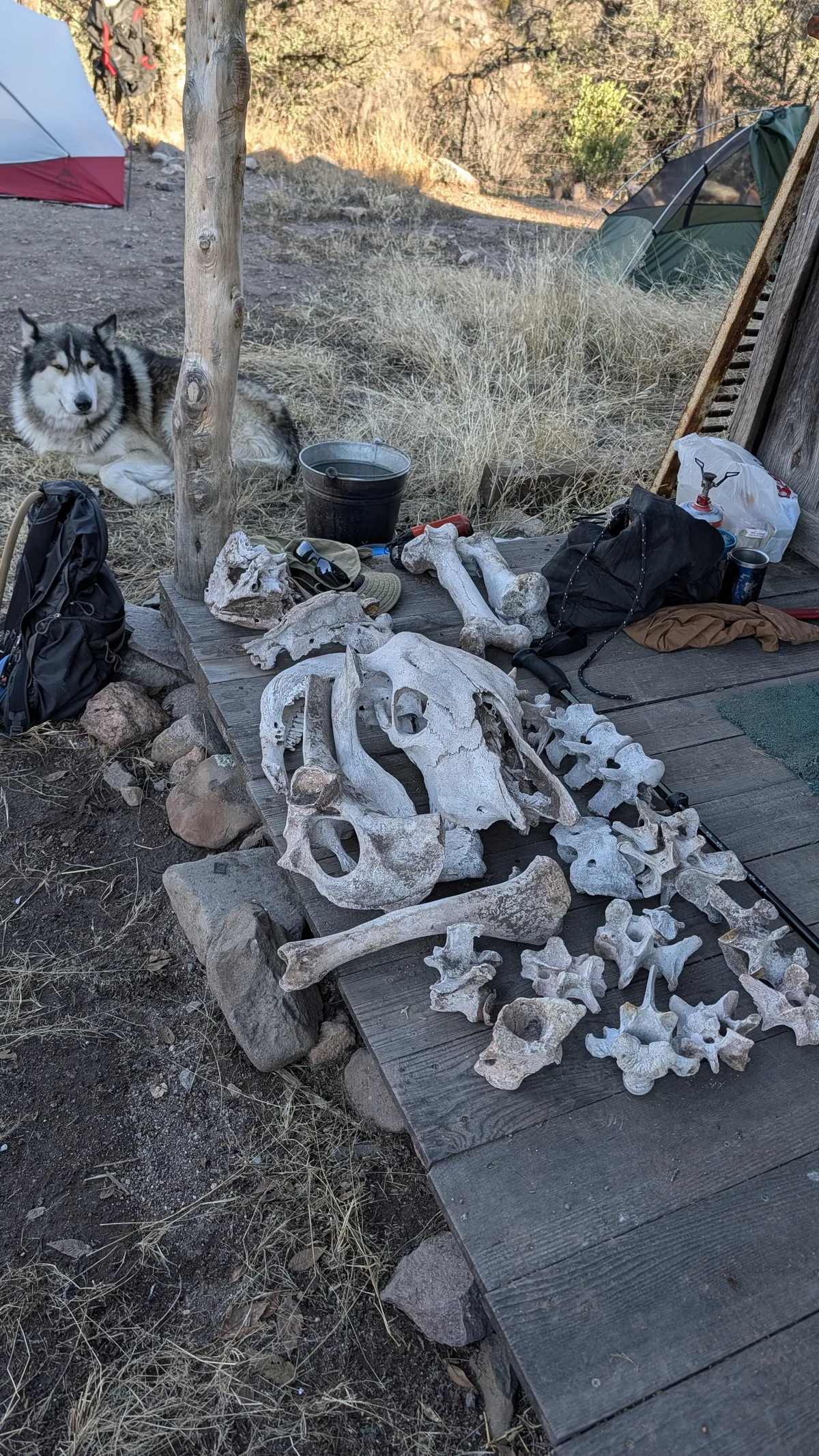 PXL_20251128_221126619